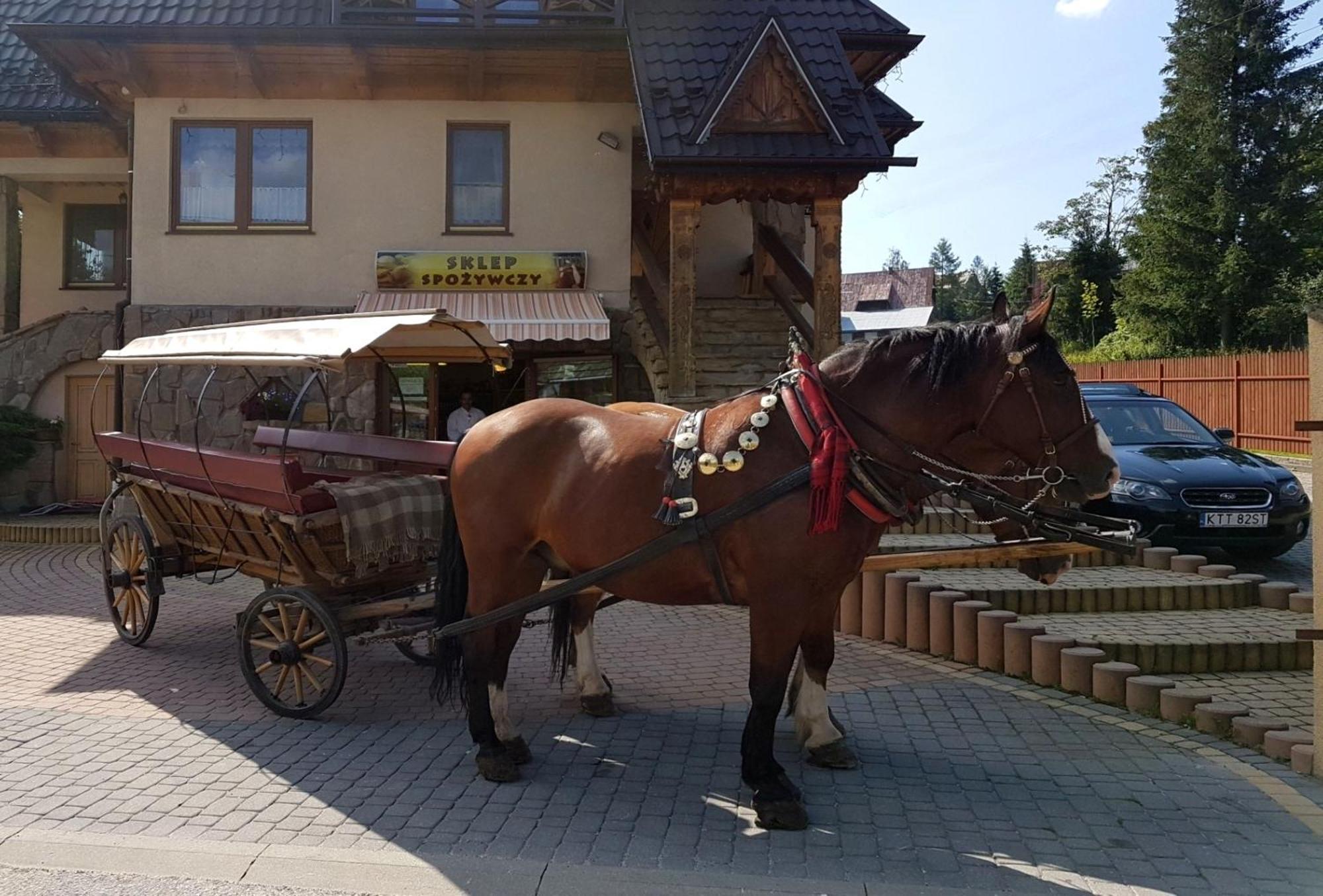Pokoje Goscinne Pod Giewontem Zakopane Exteriör bild