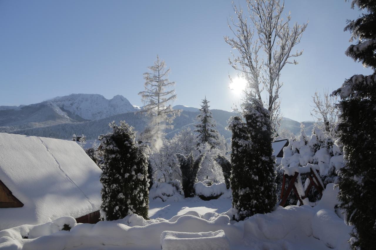 Pokoje Goscinne Pod Giewontem Zakopane Exteriör bild